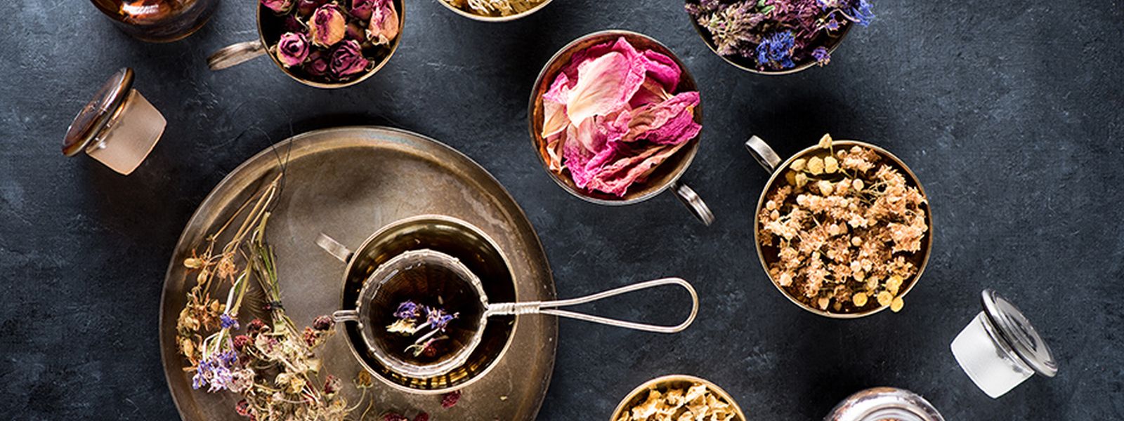 The Healing Power of Nature