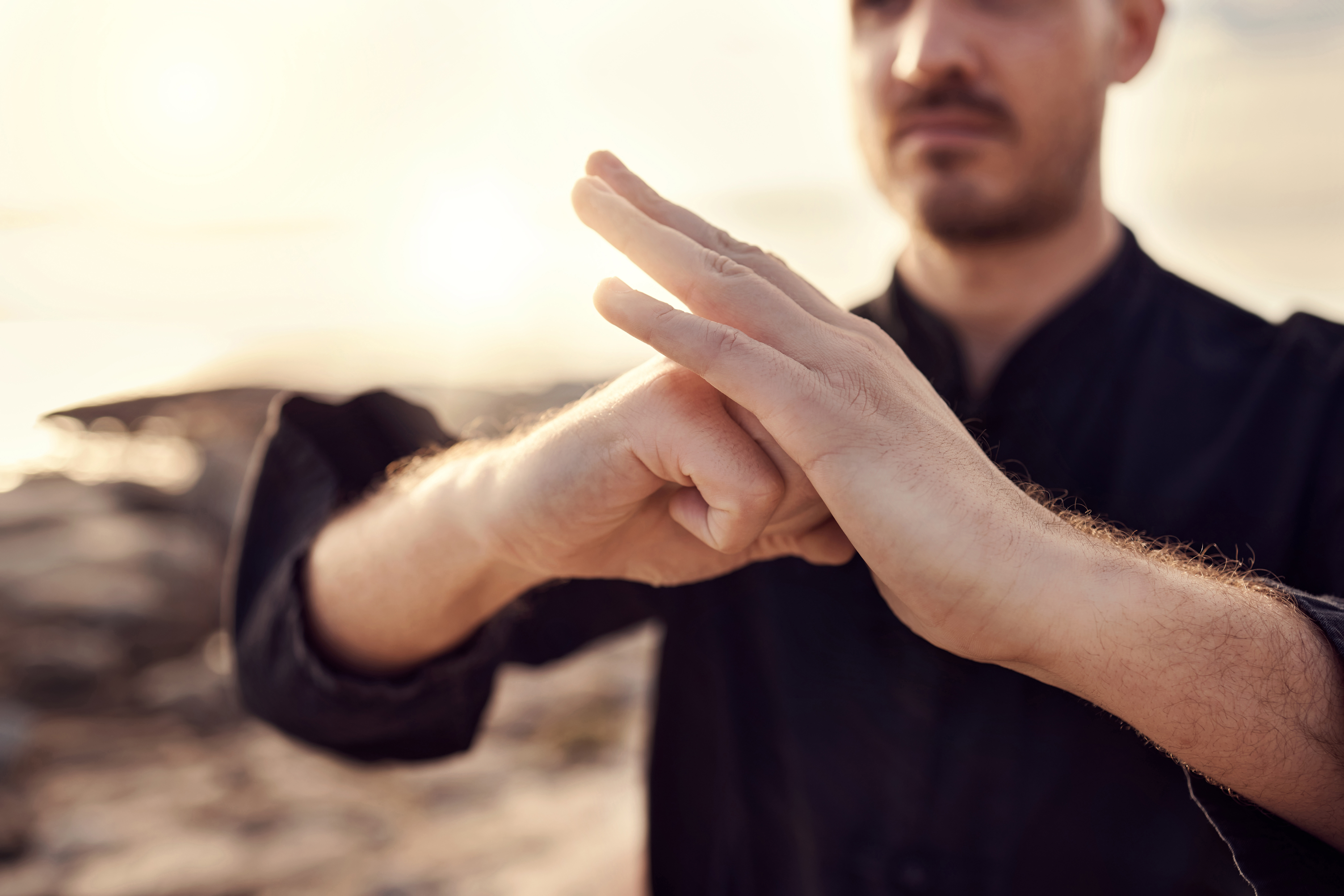 Taiji Qigong